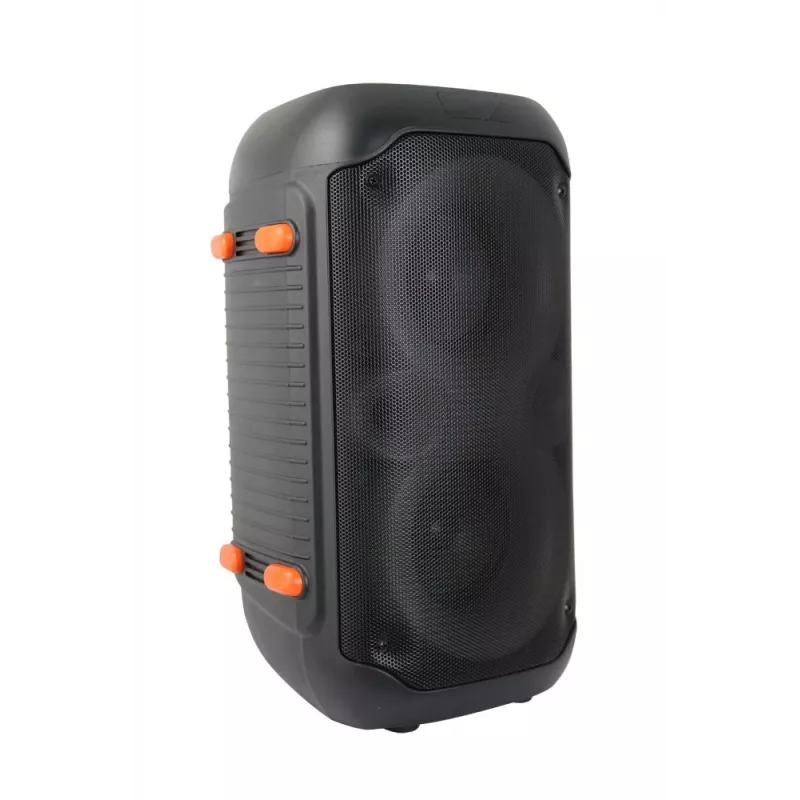 Esperanza EP156 BT FM LED RGB KARAOKE luidspreker zwart 20W