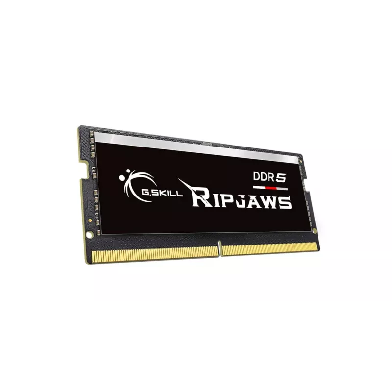 G.Skill Ripjaws F5-4800S4039A16GX1-RS geheugenmodule 16 GB 1 x 16 GB DDR5 4800 MHz