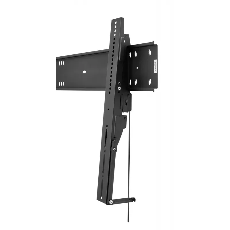 Vogels PFW 6810 wandsteun voor 55-80 inch, max. 75 kg, zwart