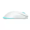 Muis Baracuda BGM-122 Turtle wit TURTLE-W