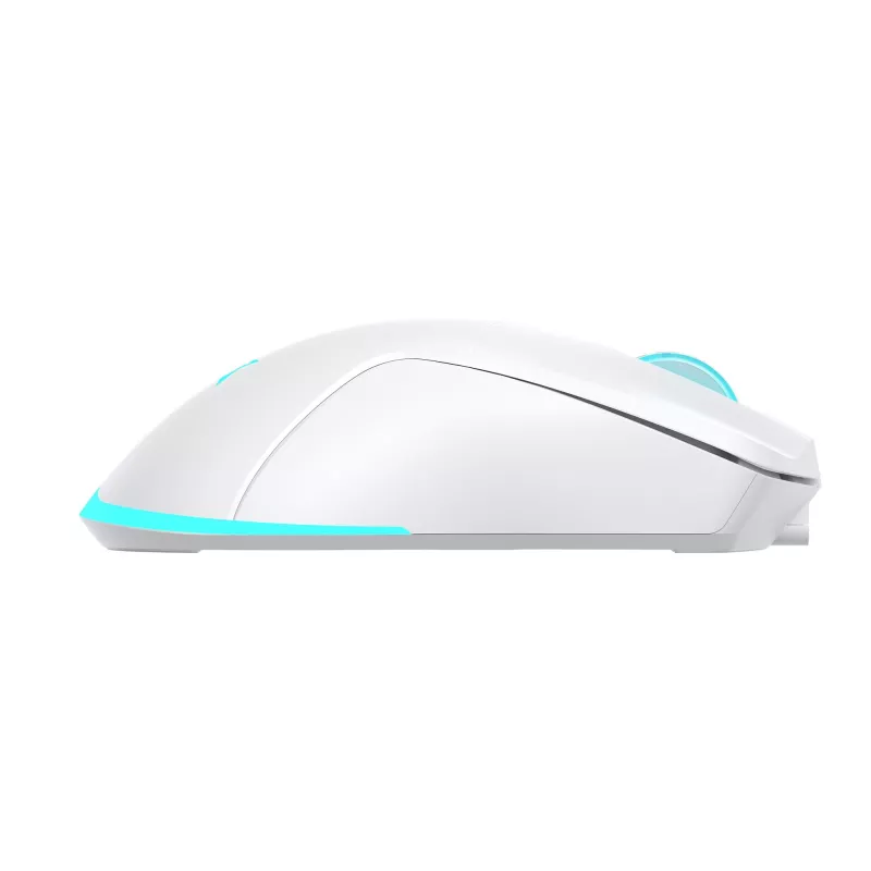 Muis Baracuda BGM-122 Turtle wit TURTLE-W