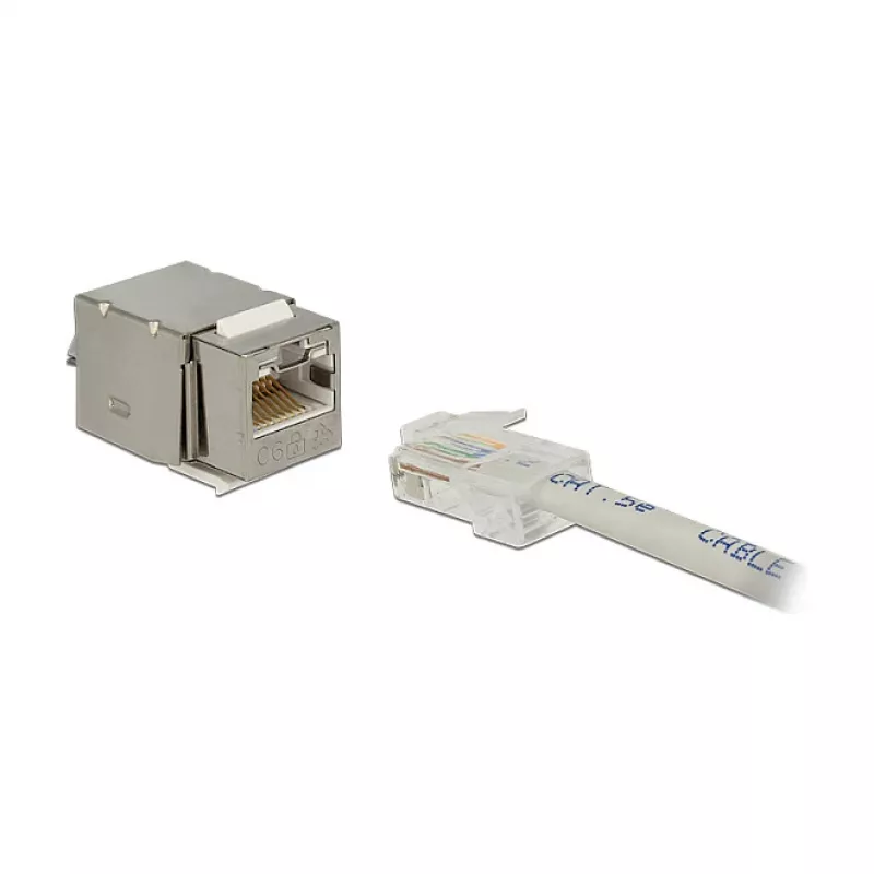 Delock 86404 Keystone-module RJ45 Secure Cat.6 naar LSA, wit