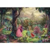 Puzzel Thomas Kinkade: Disney Sleeping Beauty