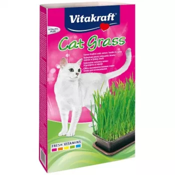 Kattengras-set Vitakraft 120 g – eetbare grasset voor katten, glutenvrij, conserveermiddelvrij
