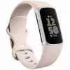 Fitbit GA05185-EU Product zilver