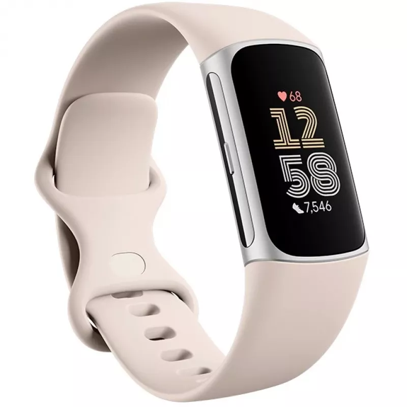 Fitbit GA05185-EU Product zilver
