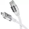 Goobay 74176 – netwerkadapterkabel USB 3.1 Type-C Gigabit Ethernet 2 m – netwerkkaart – 1.000 Mbit/s (74176)