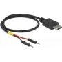 USB-kabel DeLOCK 85420 0,3 m USB-C zwart