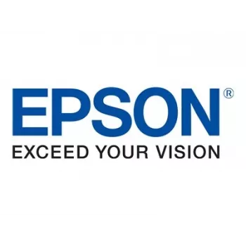 Inktpatroon Epson T04Q100 zwart, origineel high (XL) yield, voor compatibele Epson printers