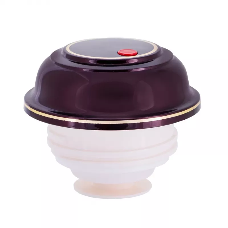 Isolatieflacon ROTPUNKT 330-16-04-0 1 L, kersrood, houdt warm 24 u, koud 36 u
