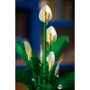 LEGO BOTANICALS 11504 Vredeslelie