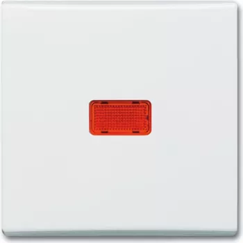 BUSCH JAEGER wipschakelaar cws controle-tweepolsschakelaar 2107-32