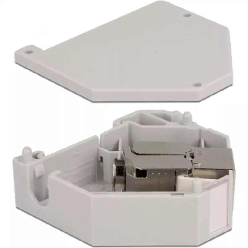 Delock - modulaire adapter - DIN-rail monteerbaar - CAT 6a - STP - grijs - 1 aansluiting (86014)
