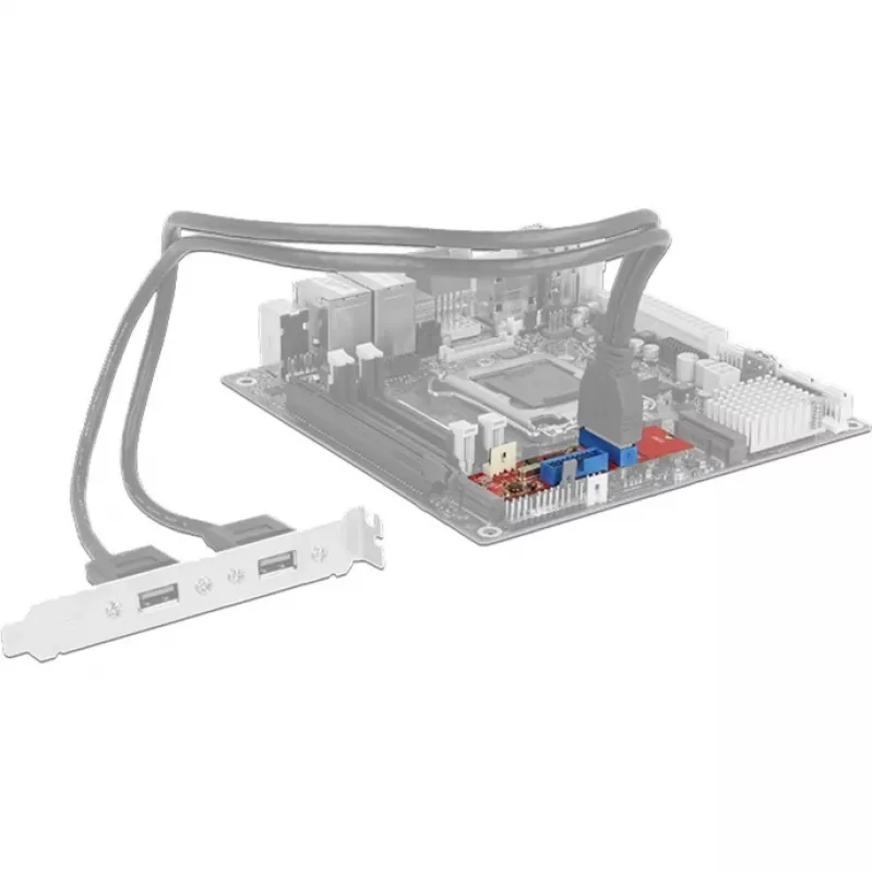 Delock converter M.2 Key B+M stekker > 2 x USB 3.0 pinheader - USB-adapter - M.2-kaart - USB 3.0 (intern) x 2 (62843)