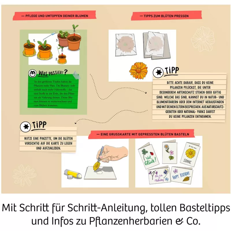 Kosmos bloemenpers experimenteerset