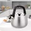 Fluitketel Maestro MR-1318 2,5 l, zilver, zwart