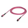 Ubiquiti UACC-OFC-MA-MPMP-3M MPO/UPC glasvezelkabel 3m OM4