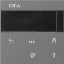 Gira RTR aanduiding antraciet 539328 (539328)