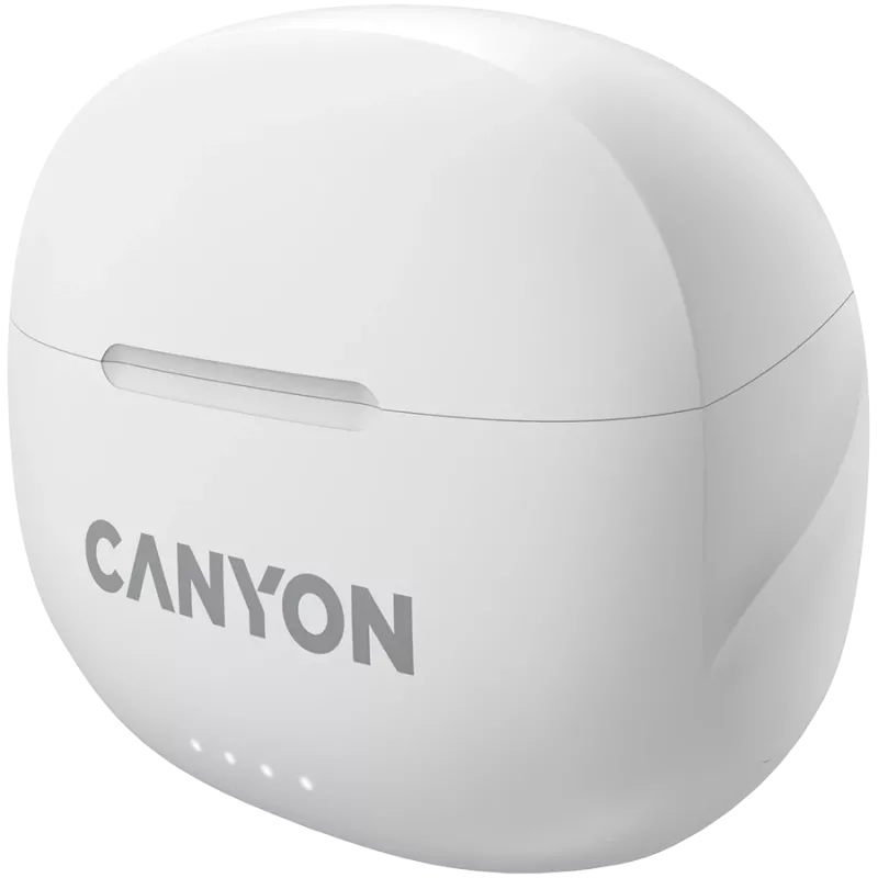 Canyon CNS-TWS8W Product Wit