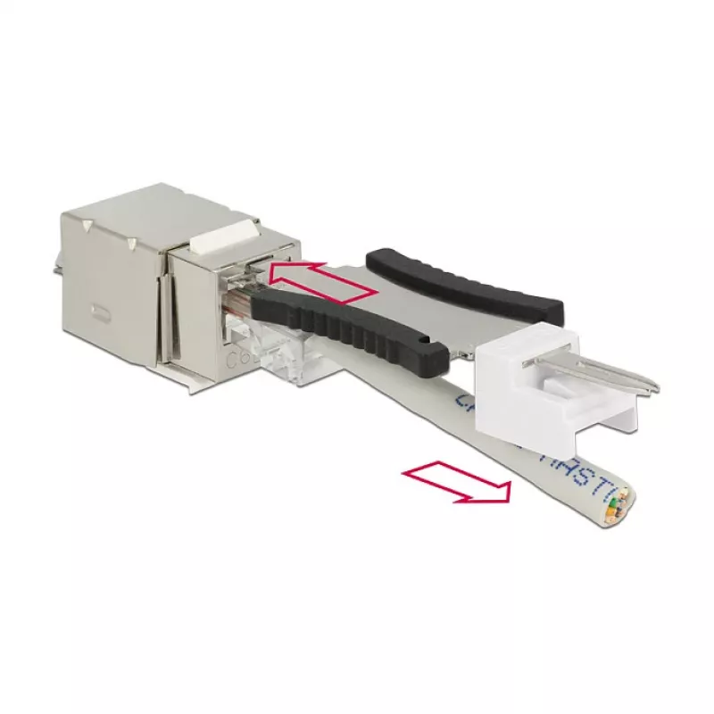 Delock 86404 Keystone-module RJ45 Secure Cat.6 naar LSA, wit