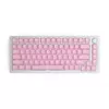 Glorious PC Gaming Race GMMK ABS Doubleshot V2 UK basisset - roze (GLO-KC-ABS-UKKIT-P)