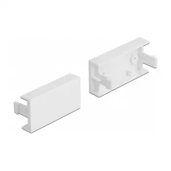 Afdekplaatmodule DeLOCK Easy 45 81301