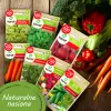 Toraf Summer Flavors zaden-set - 7 packs