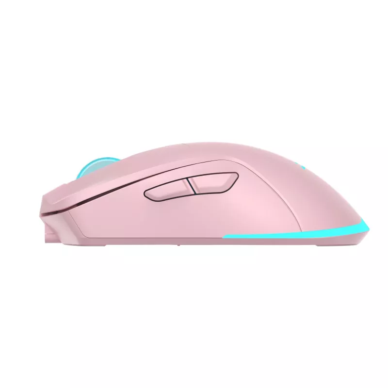 Muis Baracuda BGM-124 Turtle roze TURTLE-P