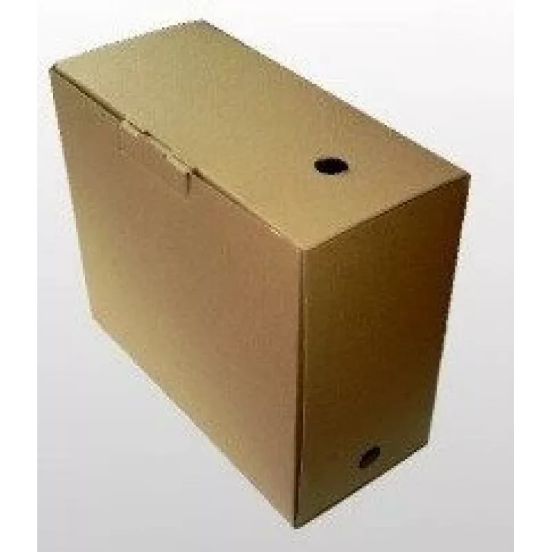 Archiefbox SMLT, 350x160x300mm, bruin
