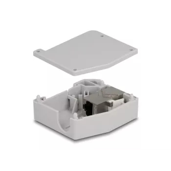 DeLOCK DIN-railadapter RJ45-bus naar RJ45-bus Cat.6A grijs
