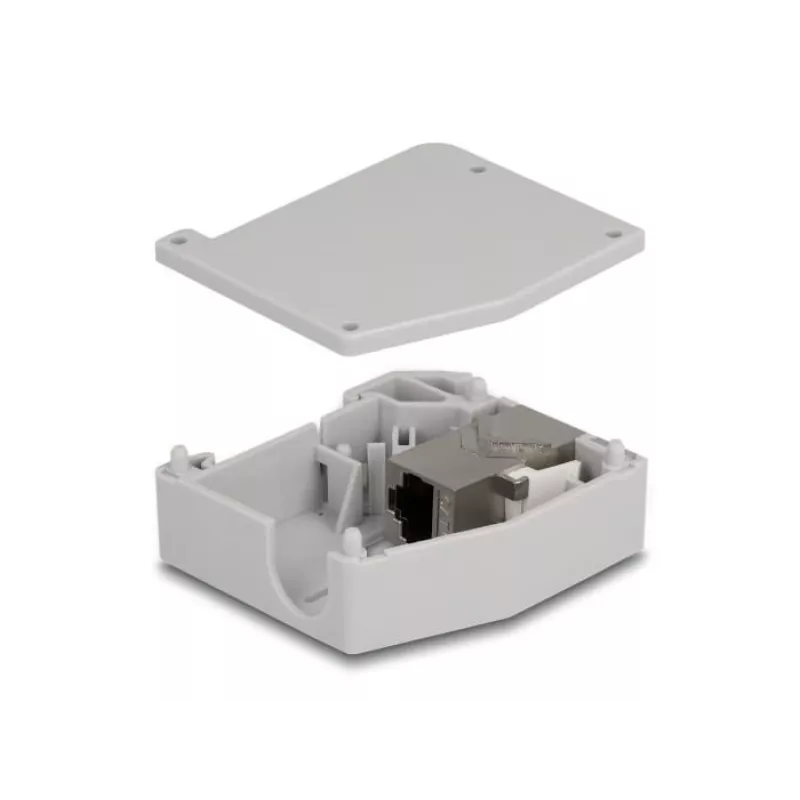 DeLOCK DIN-railadapter RJ45-bus naar RJ45-bus Cat.6A grijs