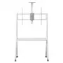 Vloer-TV-standaard MACLEAN MC-114 W voor displays 55 inch–100 inch, wit, VESA tot 900x600, maximale belasting 120 kg, hoogte 115–152 cm, legplank