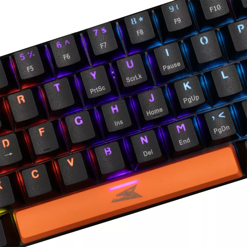 Mechanisch toetsenbord Baracuda Dolphin zwart US-layout met Red Switches