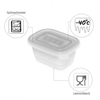ROTHO Freeze - diepvriescontainer - 6x250 ml