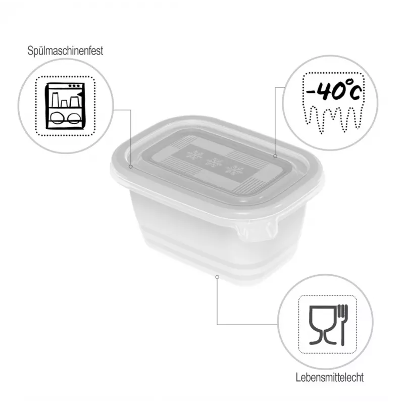 ROTHO Freeze - diepvriescontainer - 6x250 ml