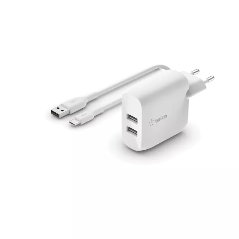 Mobiel apparaat oplader Belkin WCE001VF1MWH