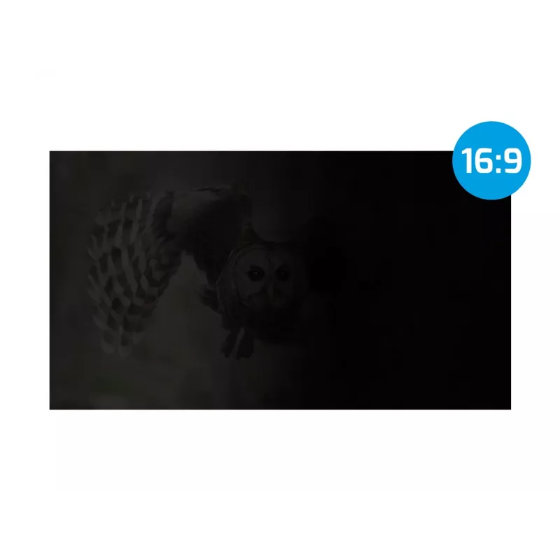 NATEC Owl NFP-1616 privacyfilter 13,3 inch (33,8 cm), 16:9, 293,9x165,5 mm