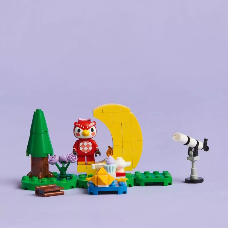 LEGO Animal Crossing Sterrenkijken met Eufemia set 77053