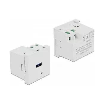 DeLock 81311 Easy 45 USB Type-A-oplaadpoortmodule, 3 A, wit