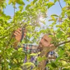 Tuinschaar PremiumCut Pro Flex (grijs/turkoois, bypass, traploos verstelbare handgreepwijdte)