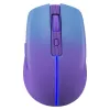 Muis DEFENDER MYSTERY MM-301 RF+BT PAARS 1600dpi 6T