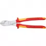Knipex 74 06 250 product