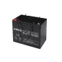 Accu VIPER VPRO 12V 55Ah (verzegelde AGM) model 22725 voor backup- en UPS-toepassingen