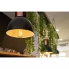 Slimme gloeilamp Shelly Vintage ST64 Wi-Fi transparant 230 V
