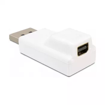 DisplayPort naar Mini DisplayPort-adapter DeLOCK 65240