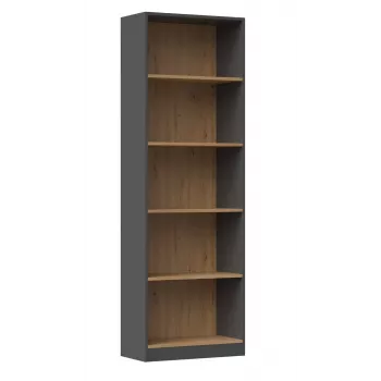 Topeshop R60 ANT/ART kantoorrek