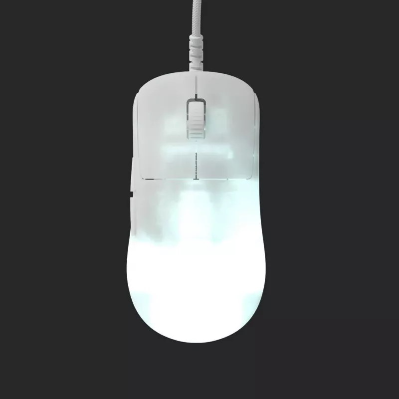 Endgame Gear OP1 RGB muis gaming rechtshandig USB Type-A optisch 26000 DPI