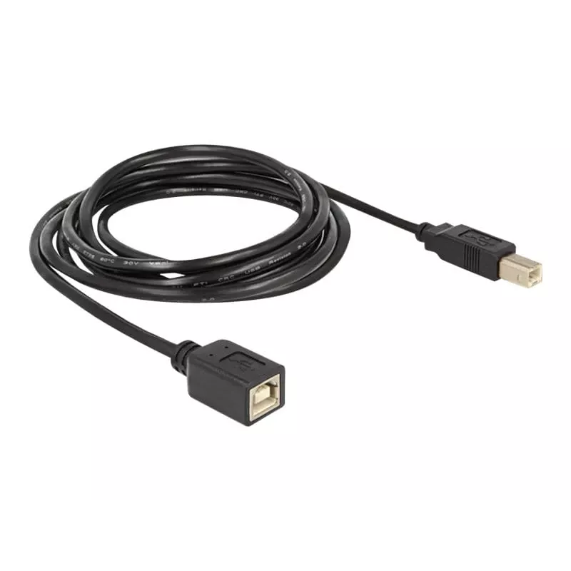 USB-kabel DeLOCK USB2.0-B 2 m USB B zwart