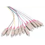 LOGON LFP035 InfiniBand/glasvezelkabel 2 m 12x SC veelkleurig (LFP035)