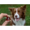GELOREN Large dog Joints - hondenvitamine - 420g